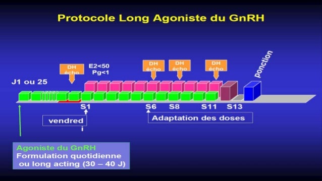 traitement fiv protocole long traitement fiv protocole long